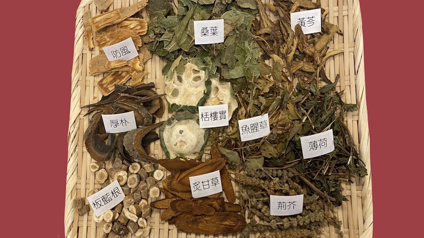 清冠一號、防疫茶配方多，吃了拉肚子？醫教怎麼喝避免副作用