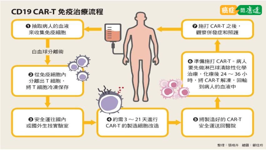 CAR-T細胞標靶治療-血癌治療-淋巴癌治療
