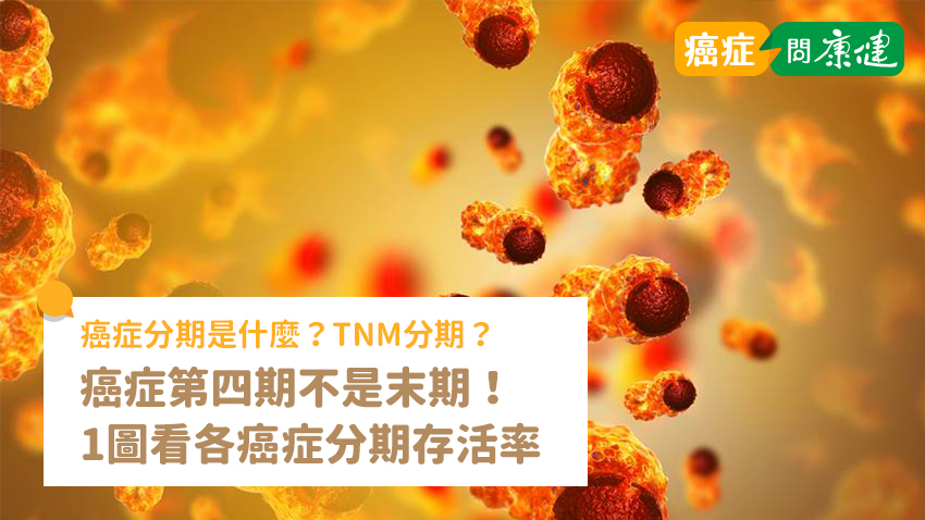 癌症分期是什麼？癌症第四期不是末期，1張圖看各癌症分期存活率