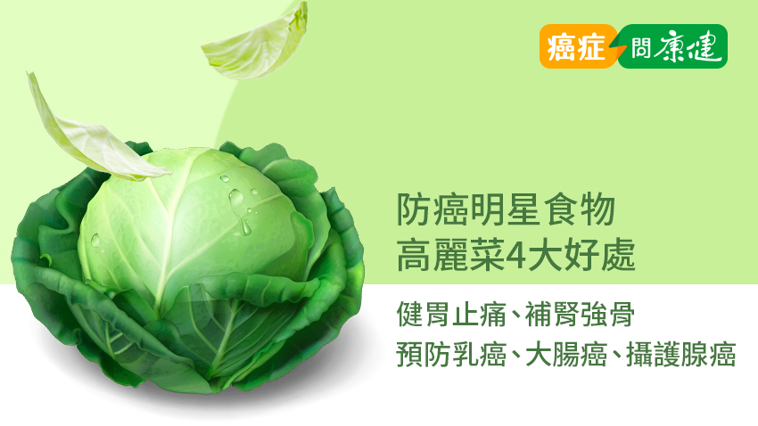 修復黏膜組織，護胃顧肺！高麗菜 4 大好處，預防乳癌、大腸癌、肺癌