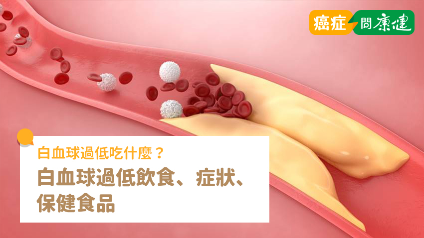 白血球過低吃什麼？了解白血球過低飲食、症狀、保健食品