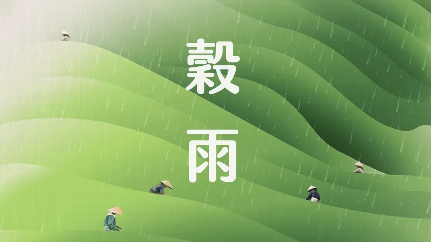穀雨節氣別讓體內發霉！ 皮膚癢、吃不下是警訊，4 大祕訣全方位健脾排濕