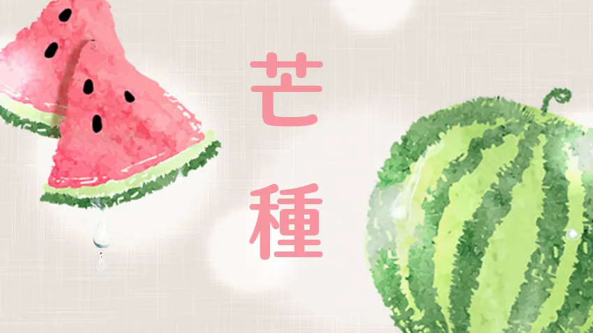 芒種時節，中醫 3 招幫自體除溼！趕走疲倦、促進食慾，舒緩濕熱搔癢困擾