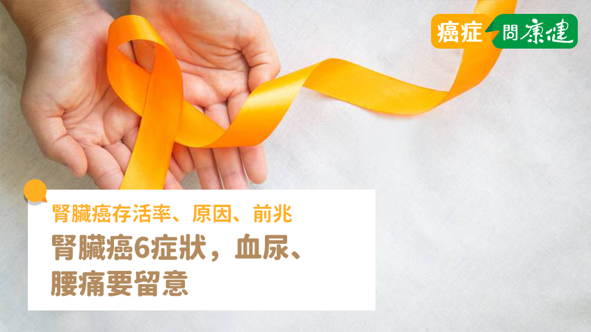 腎臟癌6症狀，血尿、腰痛要留意！腎臟癌存活率、原因、前兆