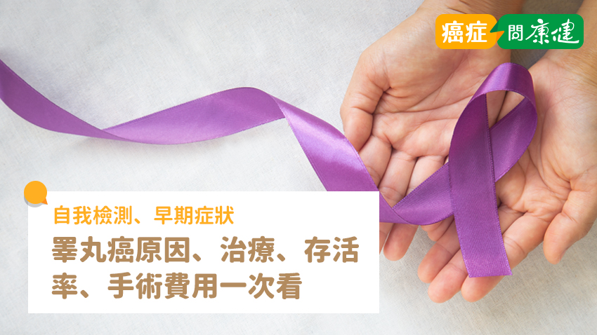 睪丸癌症狀、原因、存活率、檢查、治療、手術費用一次看