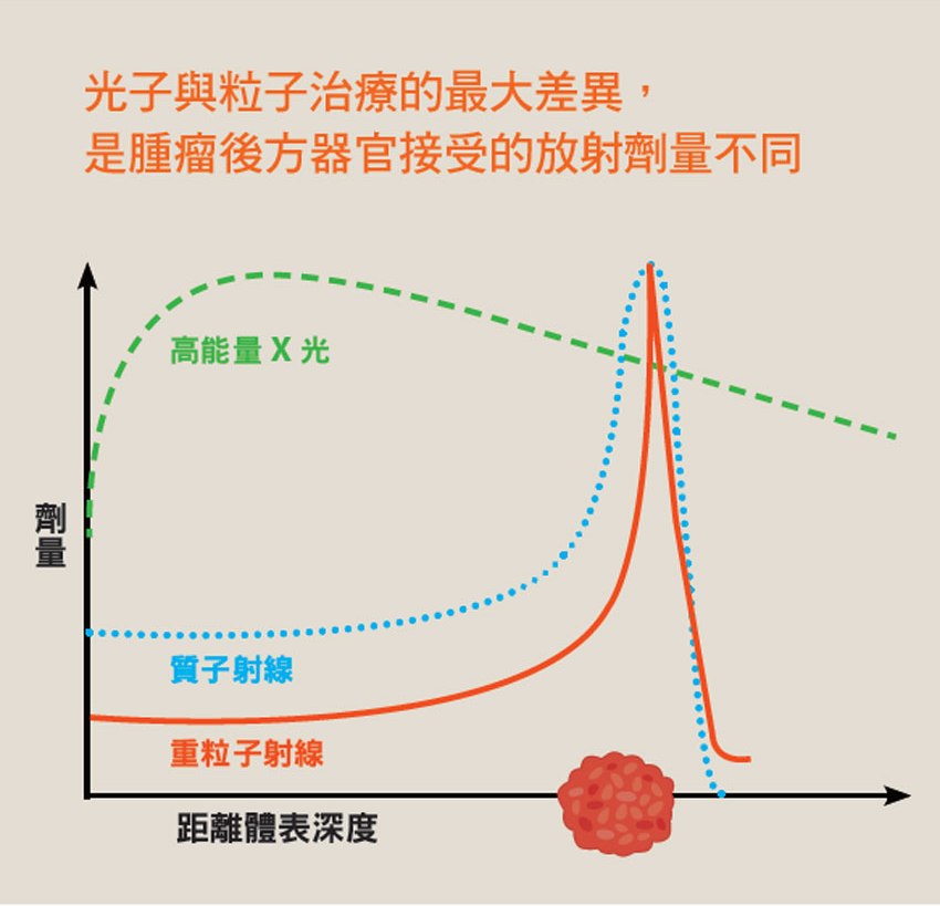 光子與粒子治療最大的差異是腫瘤後方器官接受的放射劑量不同